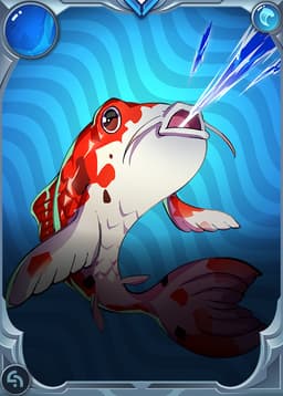Archer Koi