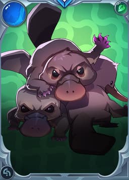 Fenmoor Platypus